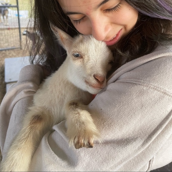 📖🪴Spring Is in the Air🪴Bookmark 🐾🌻 - Picture 13 of 16